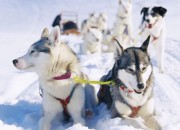 De wetenschap over leiderschapsmodellen