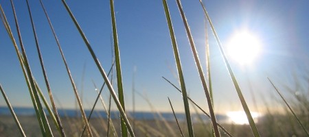Meer grip op onze veerkracht en wendbaarheid