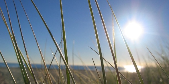 Meer grip op onze veerkracht en wendbaarheid