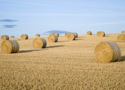 Coachen op resultaat: matrix 'Impact / Inspanning'