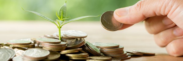 Planting trees on a coin pile with sunlight to save money, saving and investment ideas or future financial planning, ideas for business, innovation, growth and money.