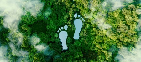 Gezocht: 6 sociale ondernemingen voor het in kaart brengen van hun carbon footprint