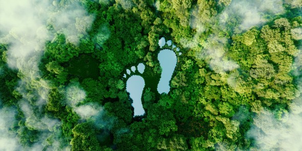 Gezocht: 6 sociale ondernemingen voor het in kaart brengen van hun carbon footprint