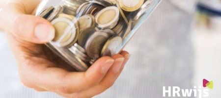 Subsidies voor HR gezocht?