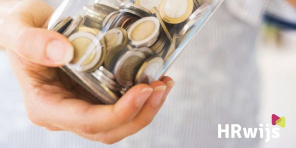 Subsidies voor HR gezocht?
