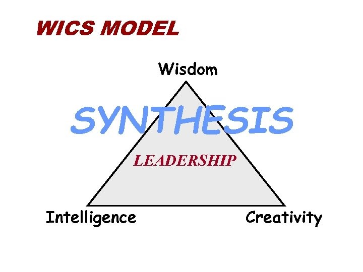Wics Networks Het WICS-model van leiderschap - Verso