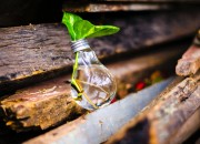 Groeien als Sociale Onderneming – Social Enterprise World Forum