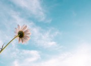 Systemisch leiderschap