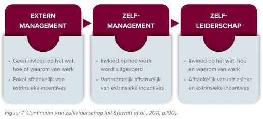 Zelfleiderschap